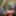 JOEYSTRANSFEETGIRLS: Itzel Saenz&#039;s First Footjob #2