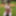 Bunni Free Photos #18