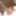 ASIAN TGIRL: Naughty Parwa