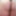 Sexy BBW #4 #18