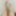 My legs