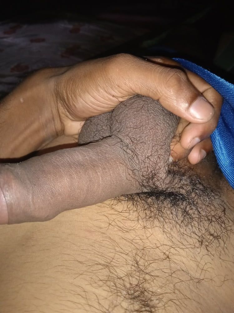 Asian cock black sri lanka  #2