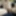 Uncle's picture gallery #5