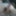dusty lusty archive 5 (dick edition) #53