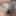 N0vyce66 has a blast with her dildos #9