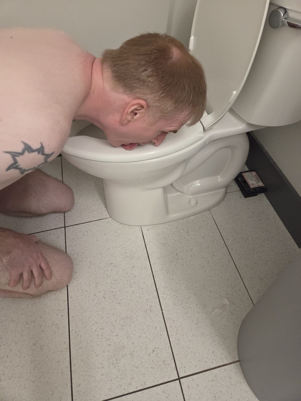 Licking Toilets #6
