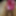 Sexy BBW Gets Fucked and Dildo #3