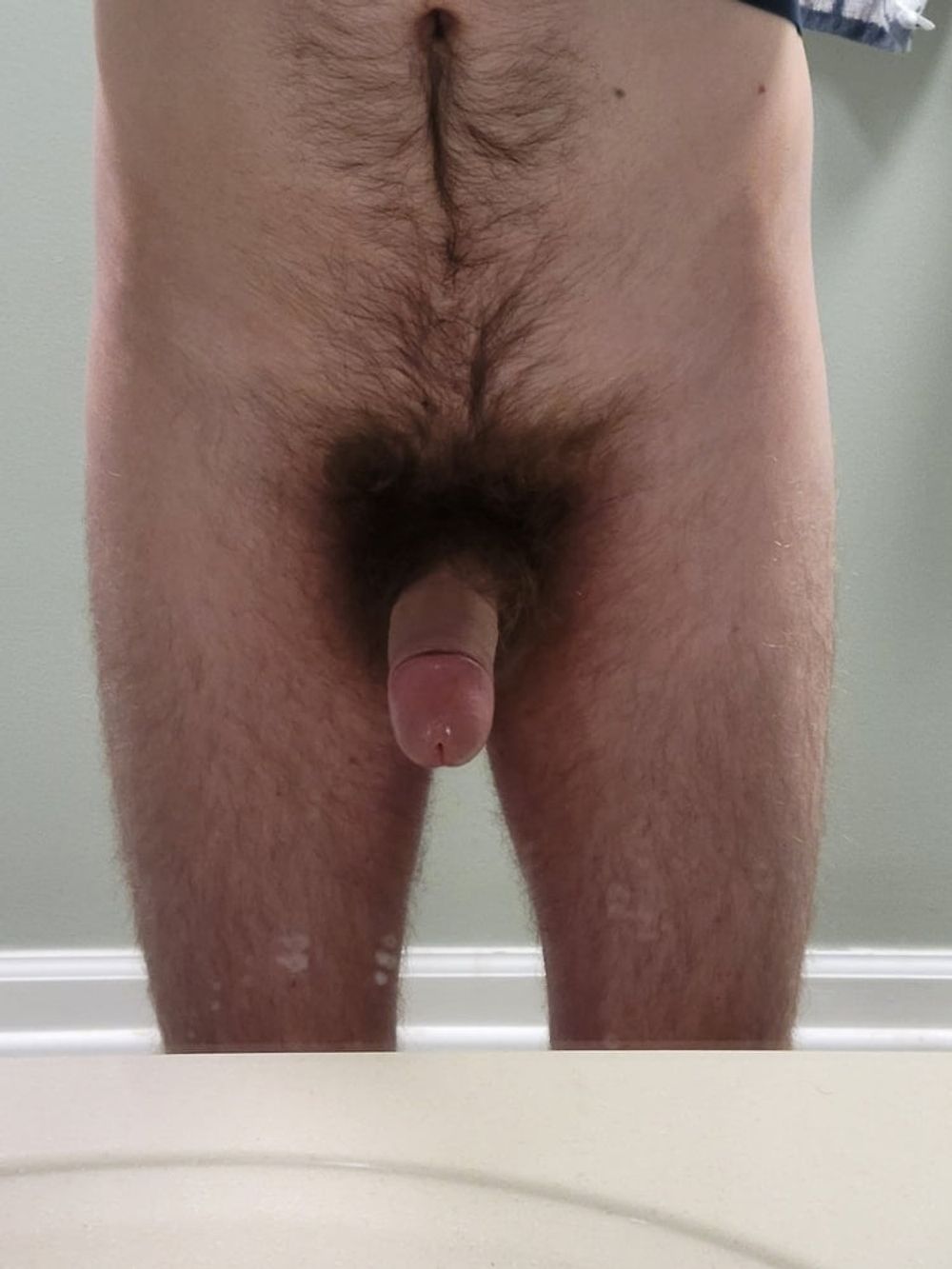 Cock #27