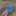 Cover up, reveal #2