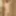 Pics for all (soft)