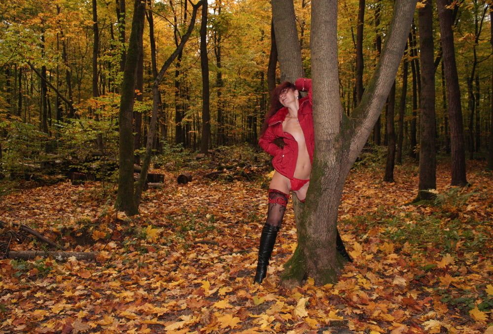 Red Autumn 5 #27