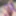 BOBSTGIRLS: The Bodacious Bree Bella