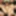Amina Konno :: Adults Day Party ~Celebrate by 4P~ - CARIBBEA