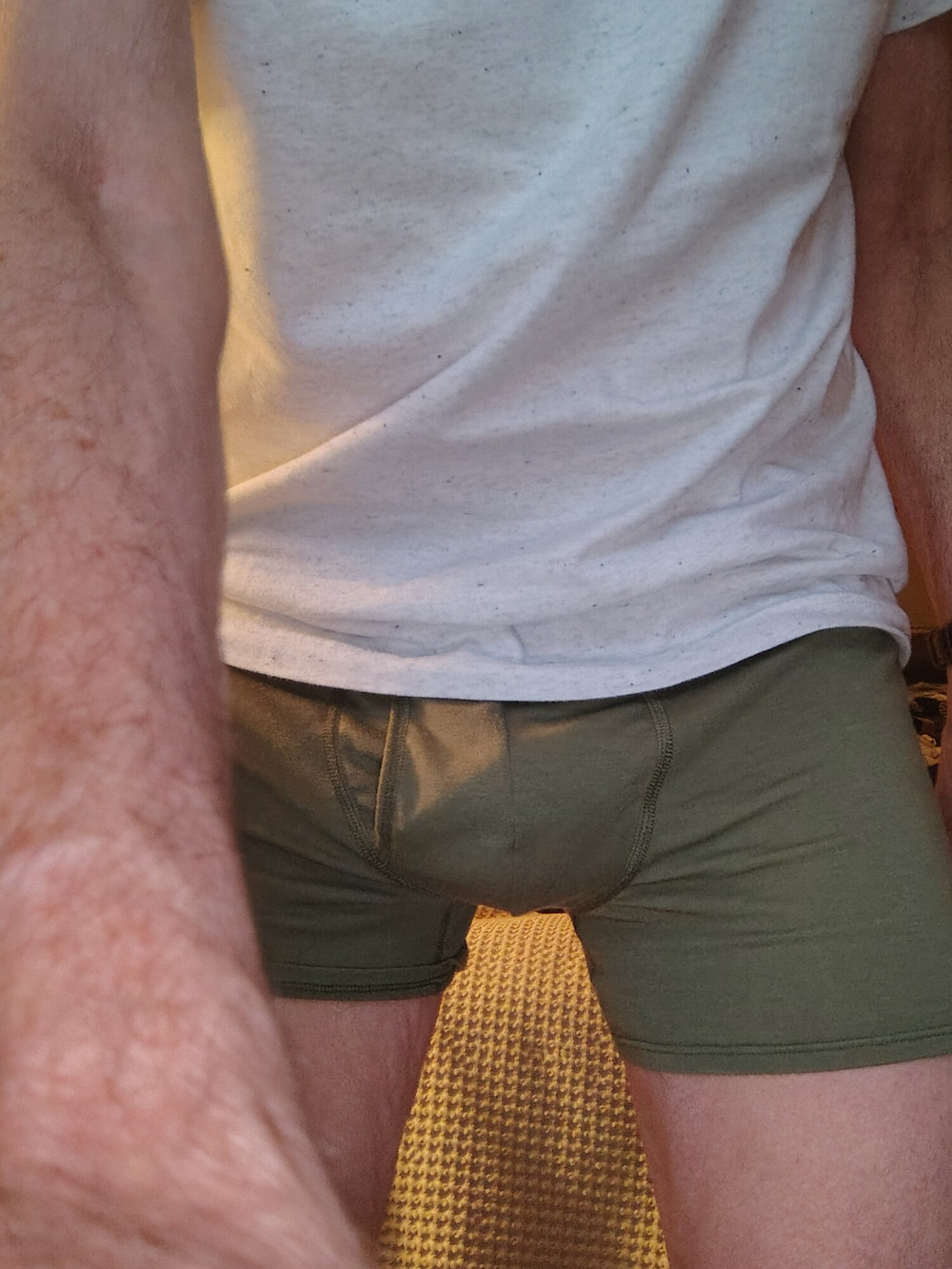 Army green briefs