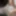 Cock Pictures  #5