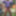 タイトなライラックのドレスのセクシーな女装者kellycd2022