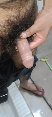 Bal vala panis 