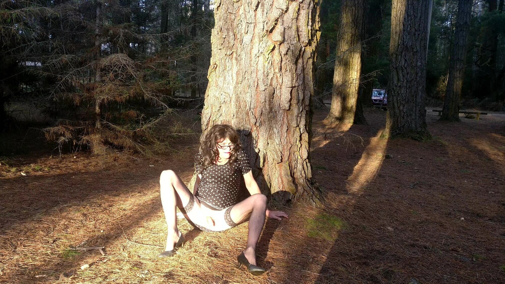Crossdress Roadtrip - Pine Forest #11