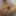 Magic Wand solo masturbation
