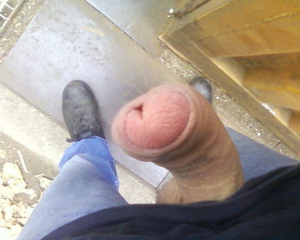 dick  #28