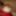 Horny amateur Milf red corset