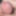 Hard cock with precum