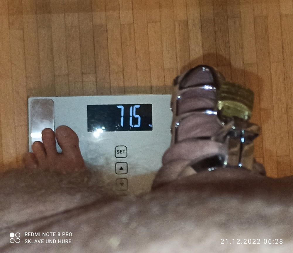 mandatory weighing and cagecheck of 21.12.2022 #8