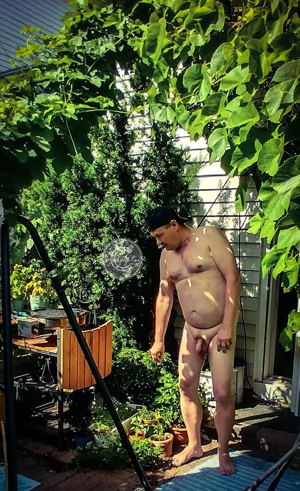 My Naturist Lifestyle  #6