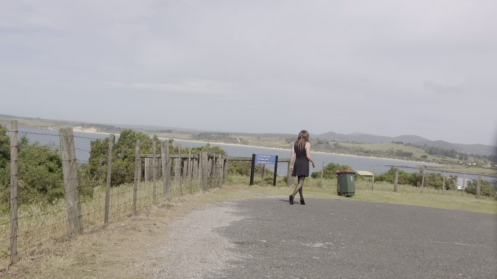 Crossdress Roadtrip - Seaside Lookout #10