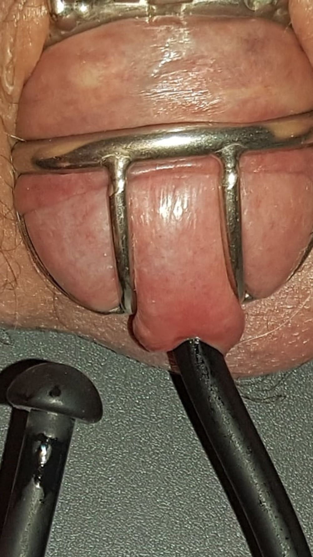 Urethral Insertion #4