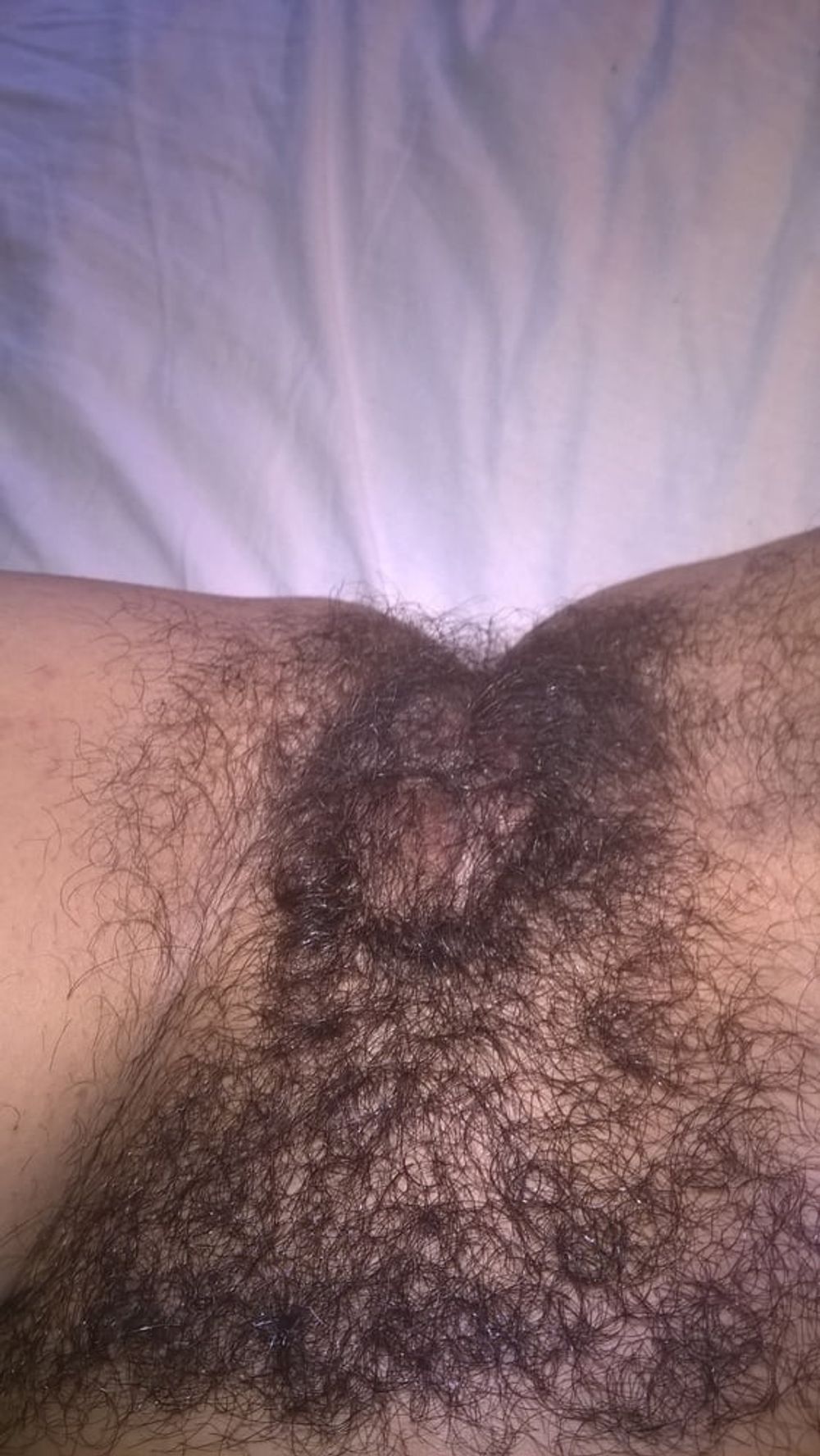  JoyTwoSex: &quot;Hairy And Proud&quot; #14