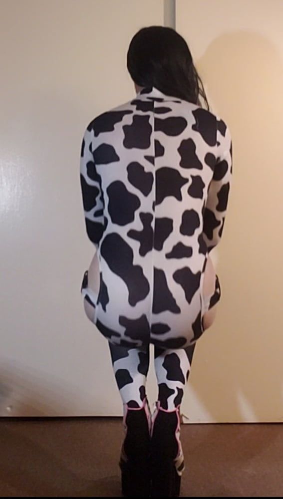 Cow Slut in Her Spots #16