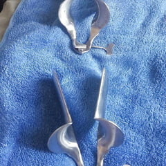 Speculum play