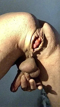 anal dilation sloppy anal         