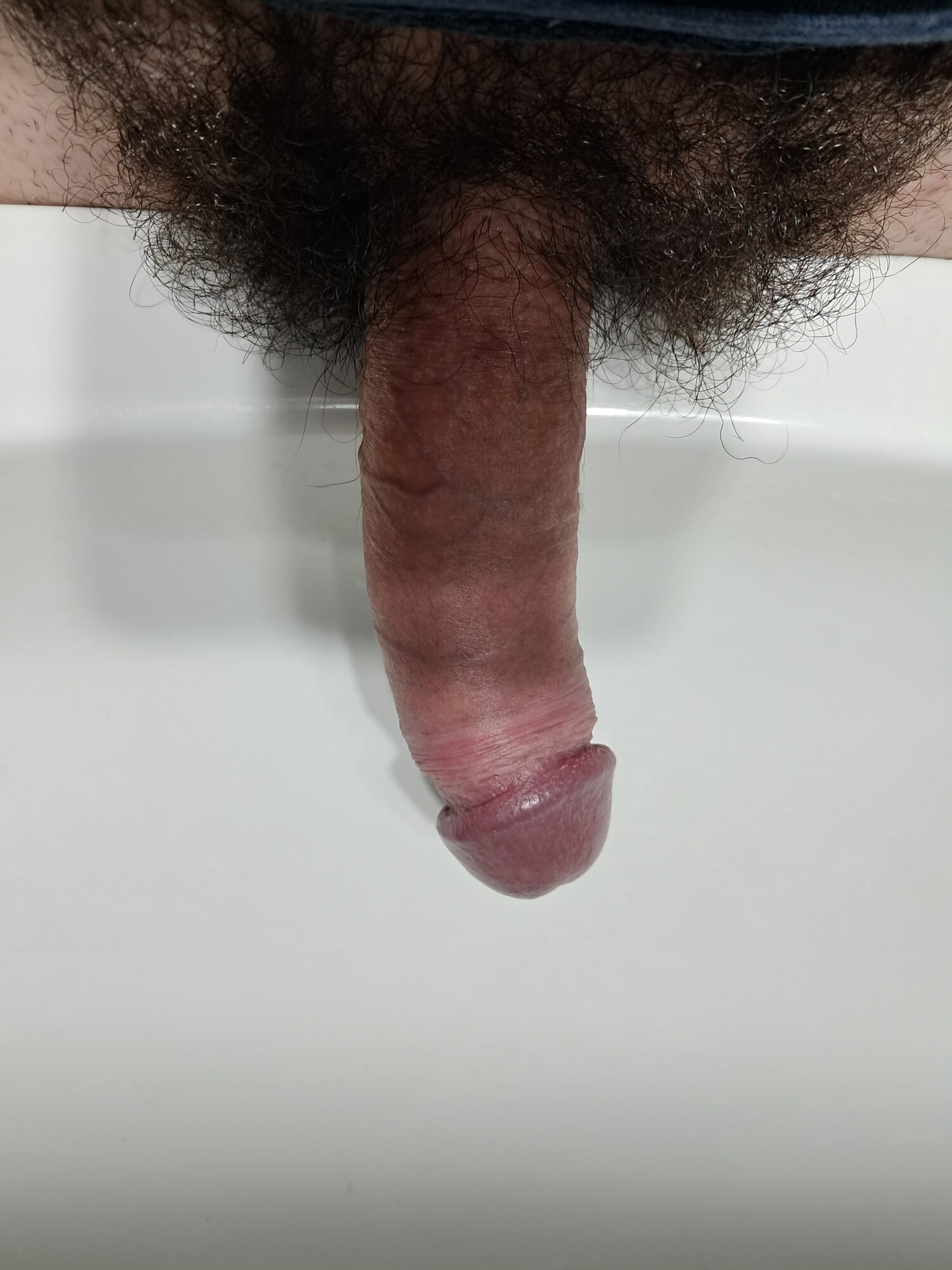 Erezioni Mattutine