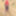 Indian girl Fucked Hard In Jungle Khet By his Boyfriend Desi #5