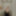 Zara Ücretsiz Fotoğraflar