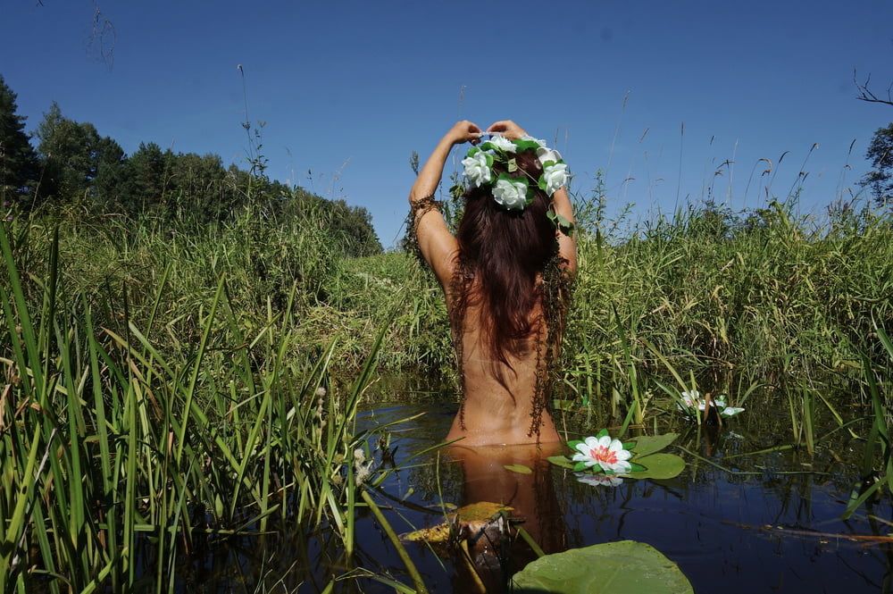  In Pond with Waterflowers 2 #39