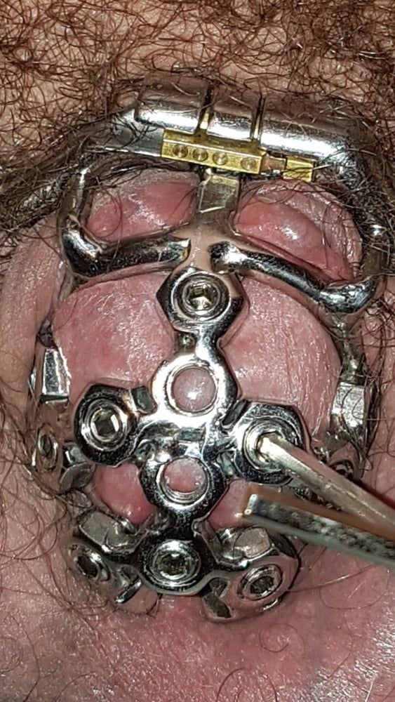 My best chastity cage #2
