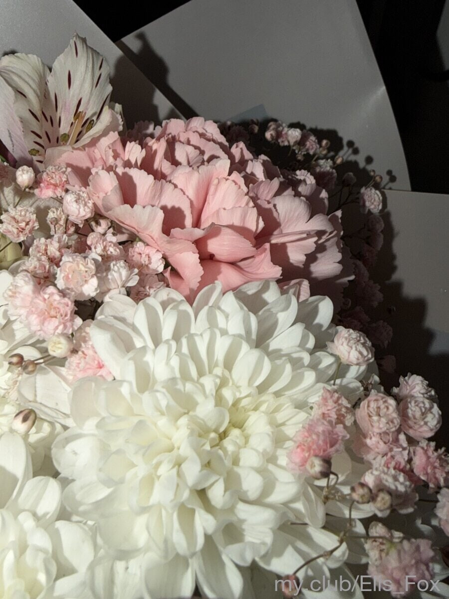 Alice Free Photos #6