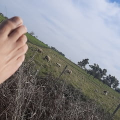 visiting the field..... what could we do... 