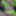 Green Mesh Lingerie #53