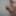 Chubby Guy&amp;amp;amp;amp;#039;s Small But Sexy Cock