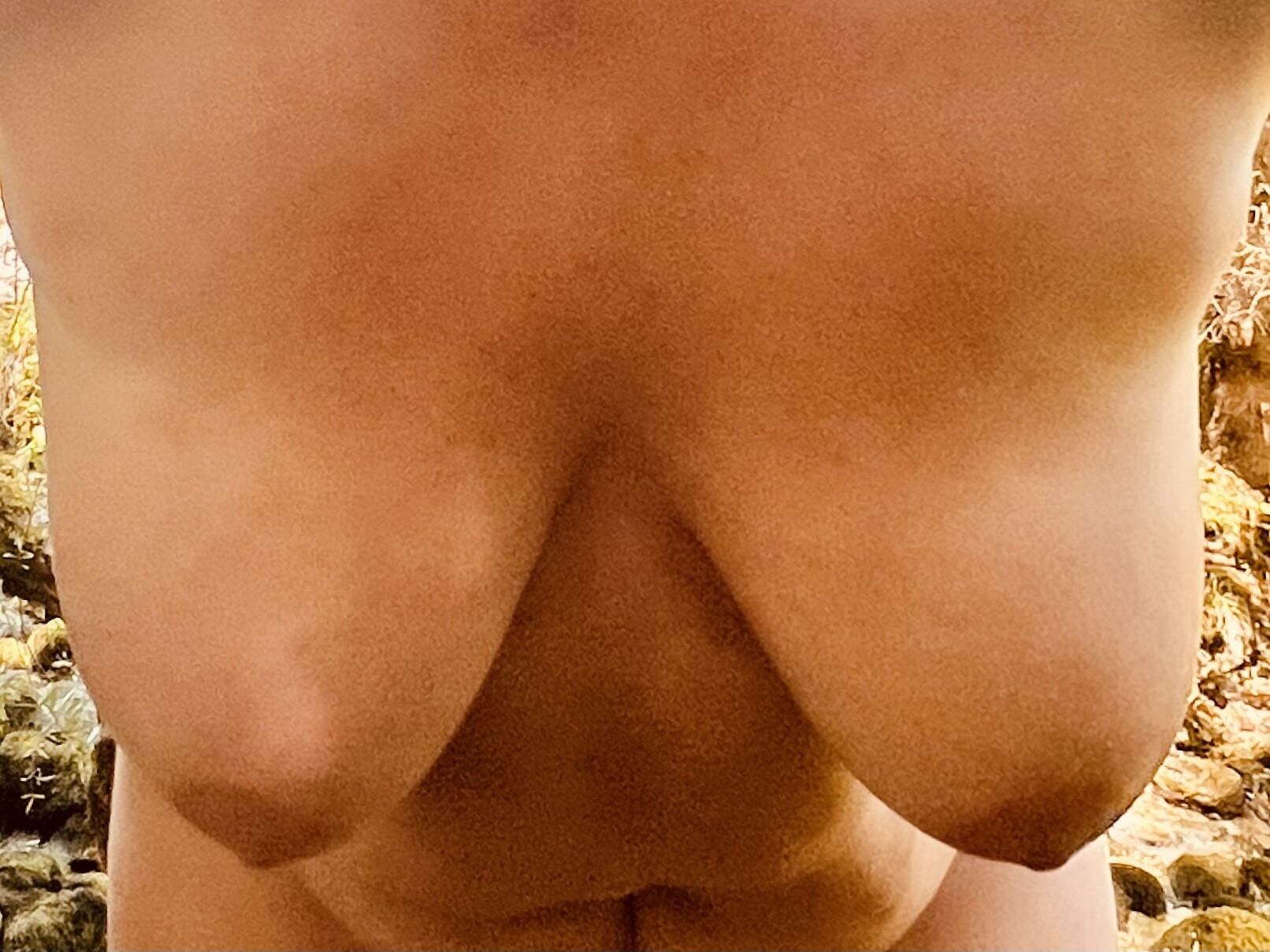 The last summer was nice #52