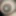 Boobs 