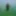 in green algae #3