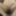 Sexy BBW wife with huge tits #21
