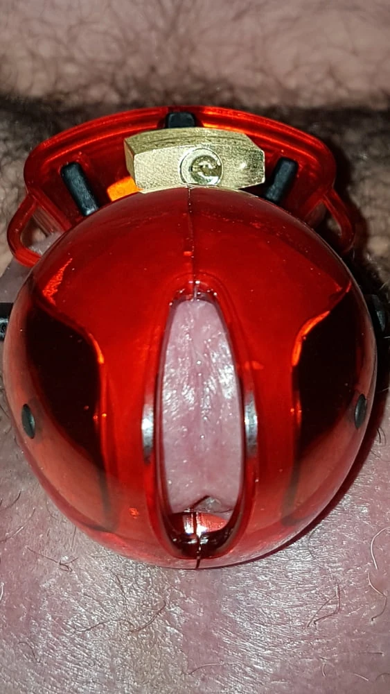 Chastity cage #6