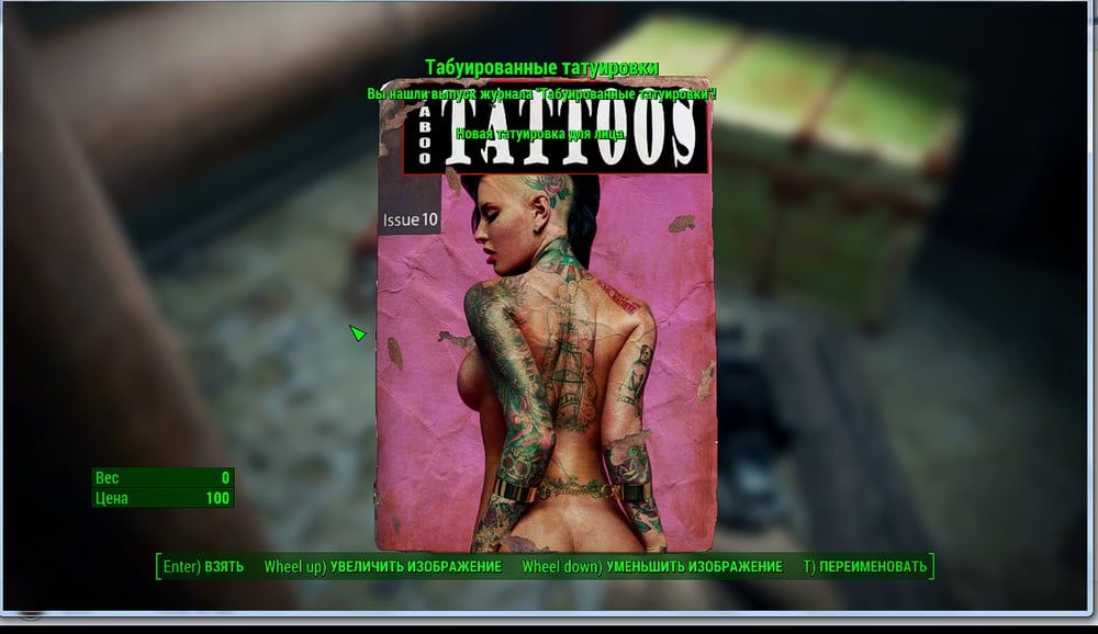 Erotic posters (Fallout 4) #32