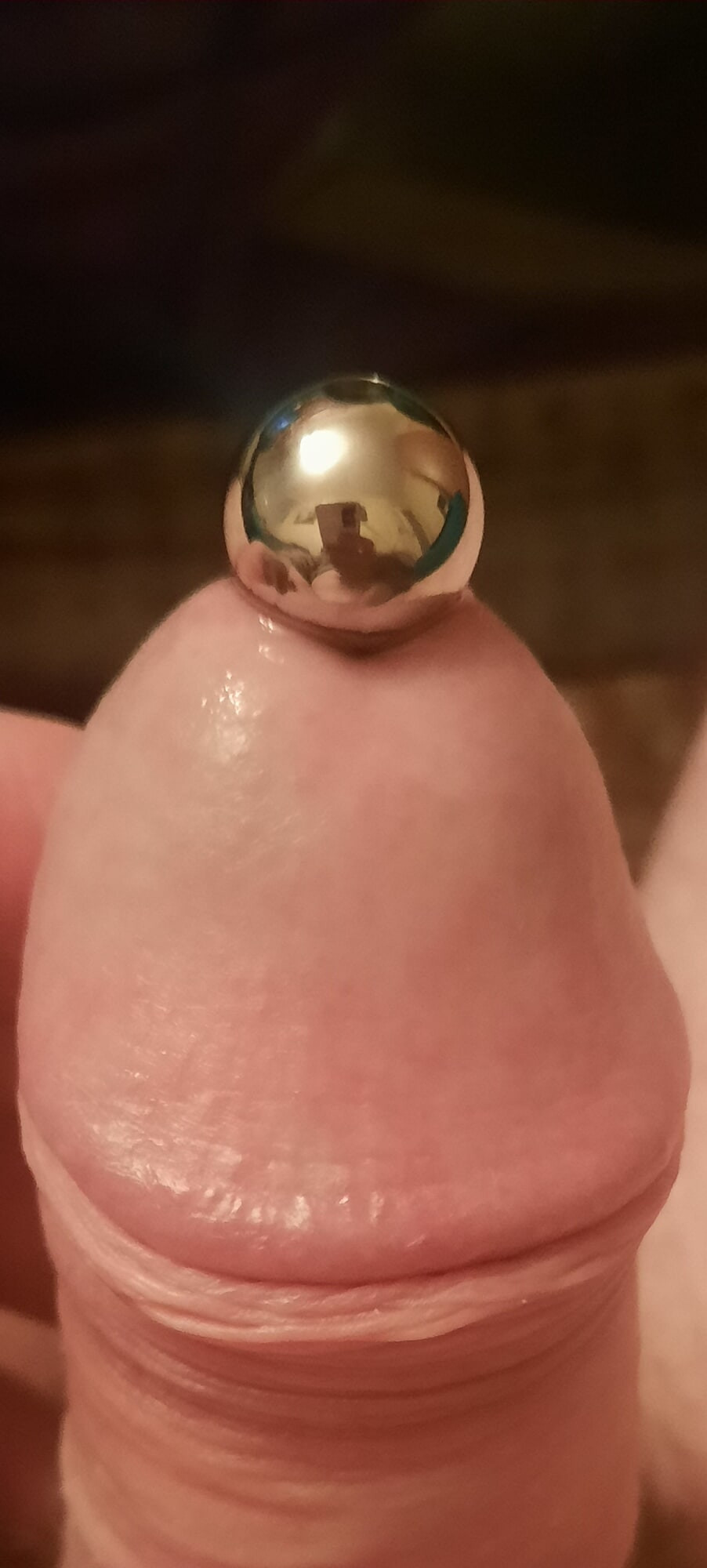 Penis #2